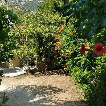 Holiday Home Jovis Drvenik  Esterno foto