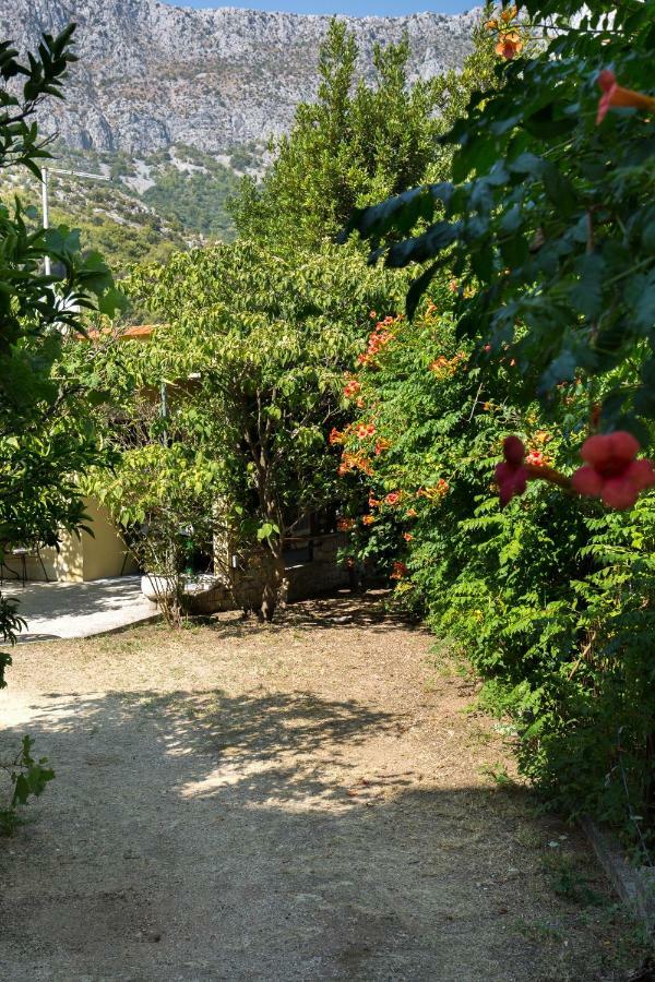 Holiday Jovis Holiday home Drvenik (Split-Dalmatia)