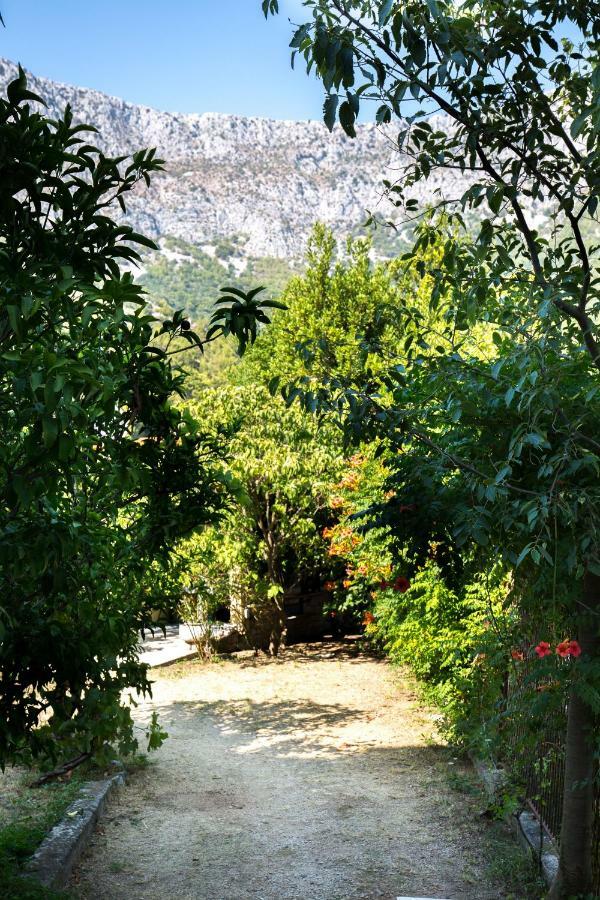 Holiday Jovis Holiday home *