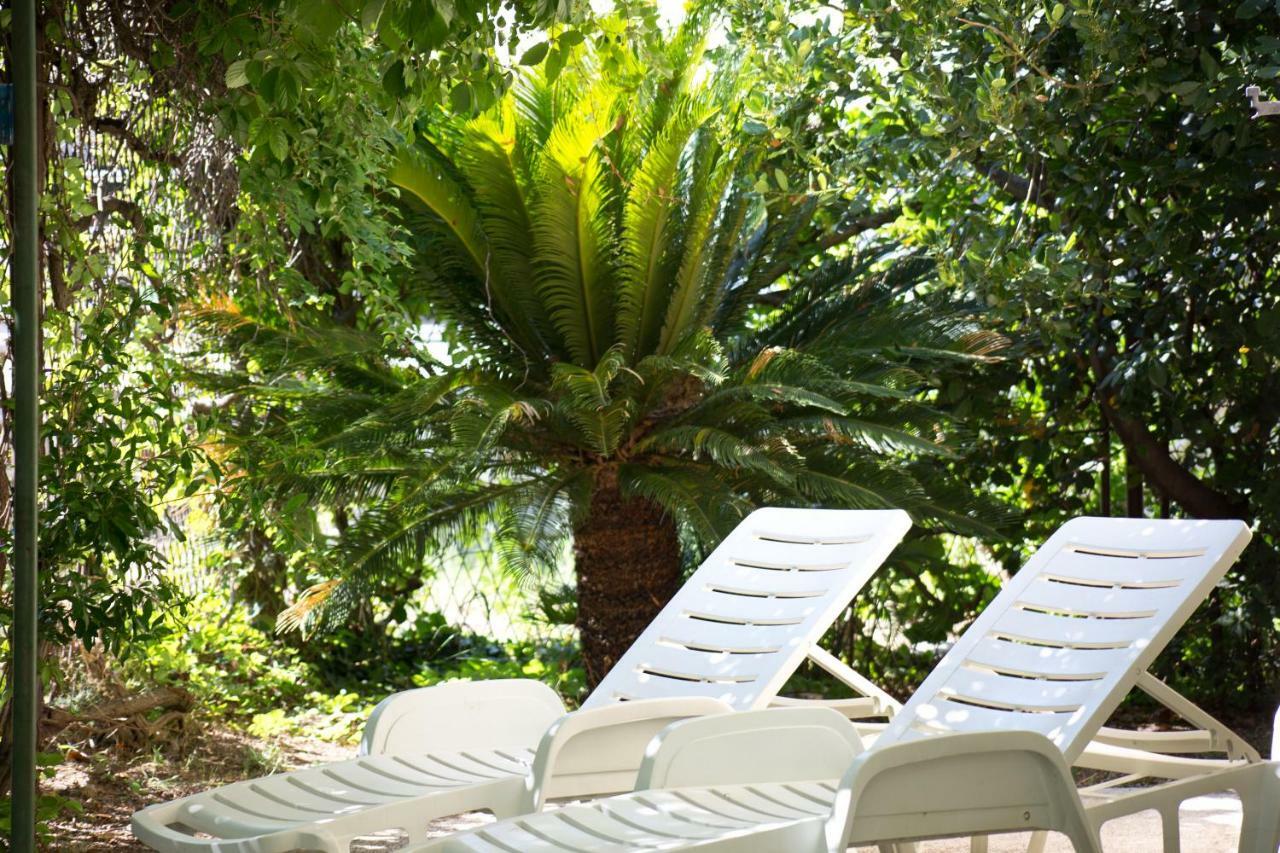 Holiday Jovis Drvenik (Split-Dalmatia)